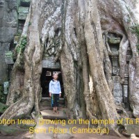 ToanVinh Tours