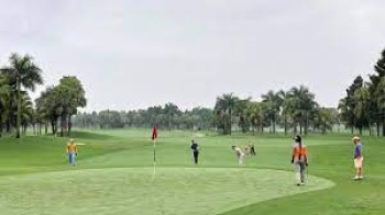 Golf Tours.jpg