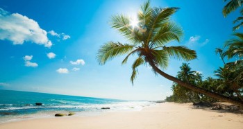 Sunny Beach Holiday.jpg