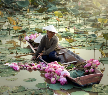 Vietnam-768x675.png